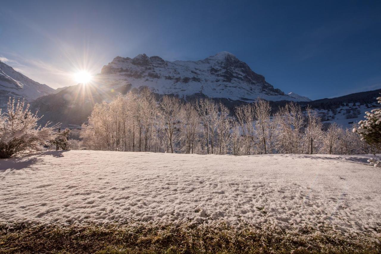 Billabong Leilighet Grindelwald Eksteriør bilde